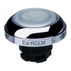 SCHMERSAL - EX-RDLMWS
