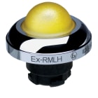SCHMERSAL - EX-RMLHGB