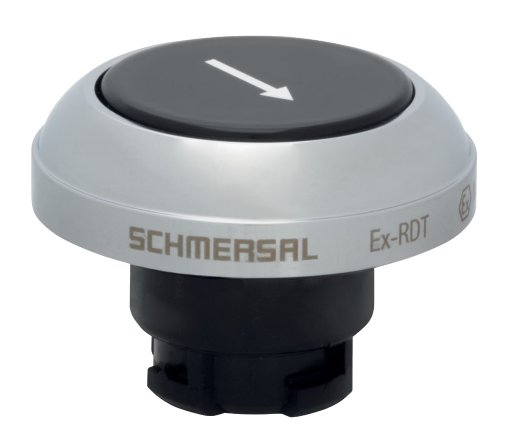SCHMERSAL - EX-RDTSW/101D
