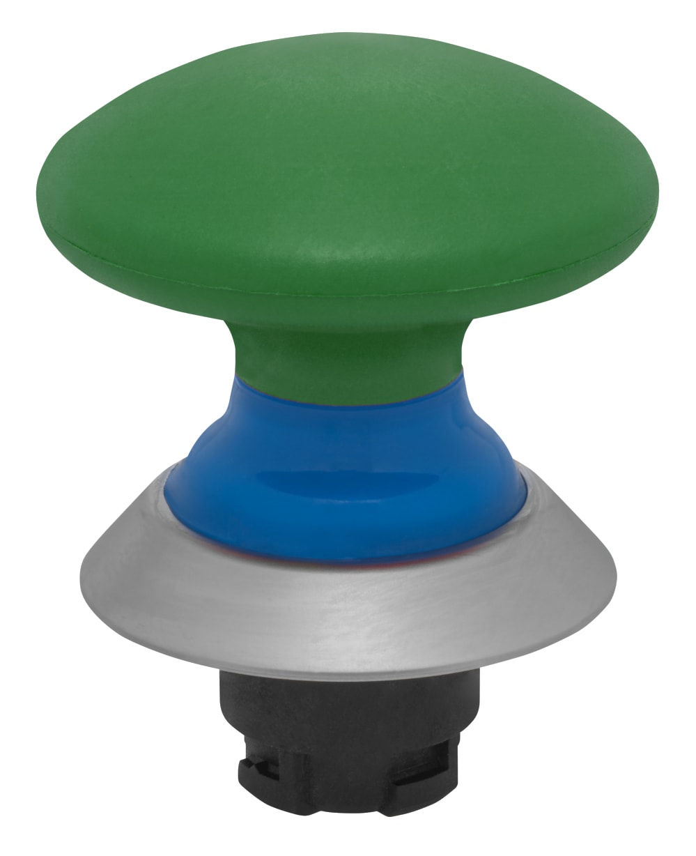 SCHMERSAL - NDP50BL/GN