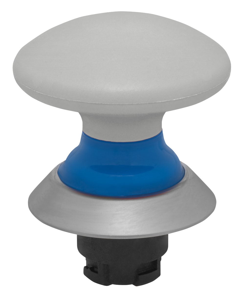 SCHMERSAL - NDP50BL/WS