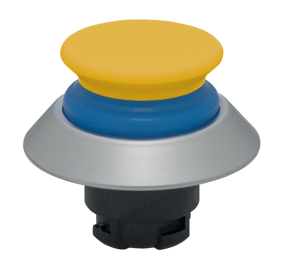 SCHMERSAL - NDTP30BL/GB