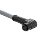 SCHMERSAL - A-K4P-M8-R-W-10M-GY-1-X-X-4