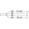 Miniatura Diagramma del circuito 2