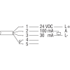 Miniatura Diagramma del circuito 2
