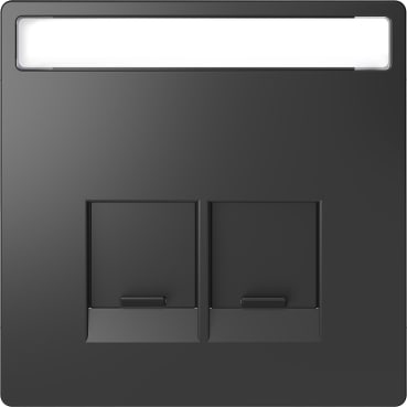 SCHNEIDER ELECTRIC - Piastra con etichetta per Schneider Electric RJ45, antracite, System Design