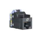 SCHNEIDER ELECTRIC - Actassi S-One 6 - connettore RJ45 non schermato Cat.6, box x 1