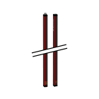 TELEMECANIQUE SENSOR - TIPO4 30MM MANI 310MM MUTING PROG