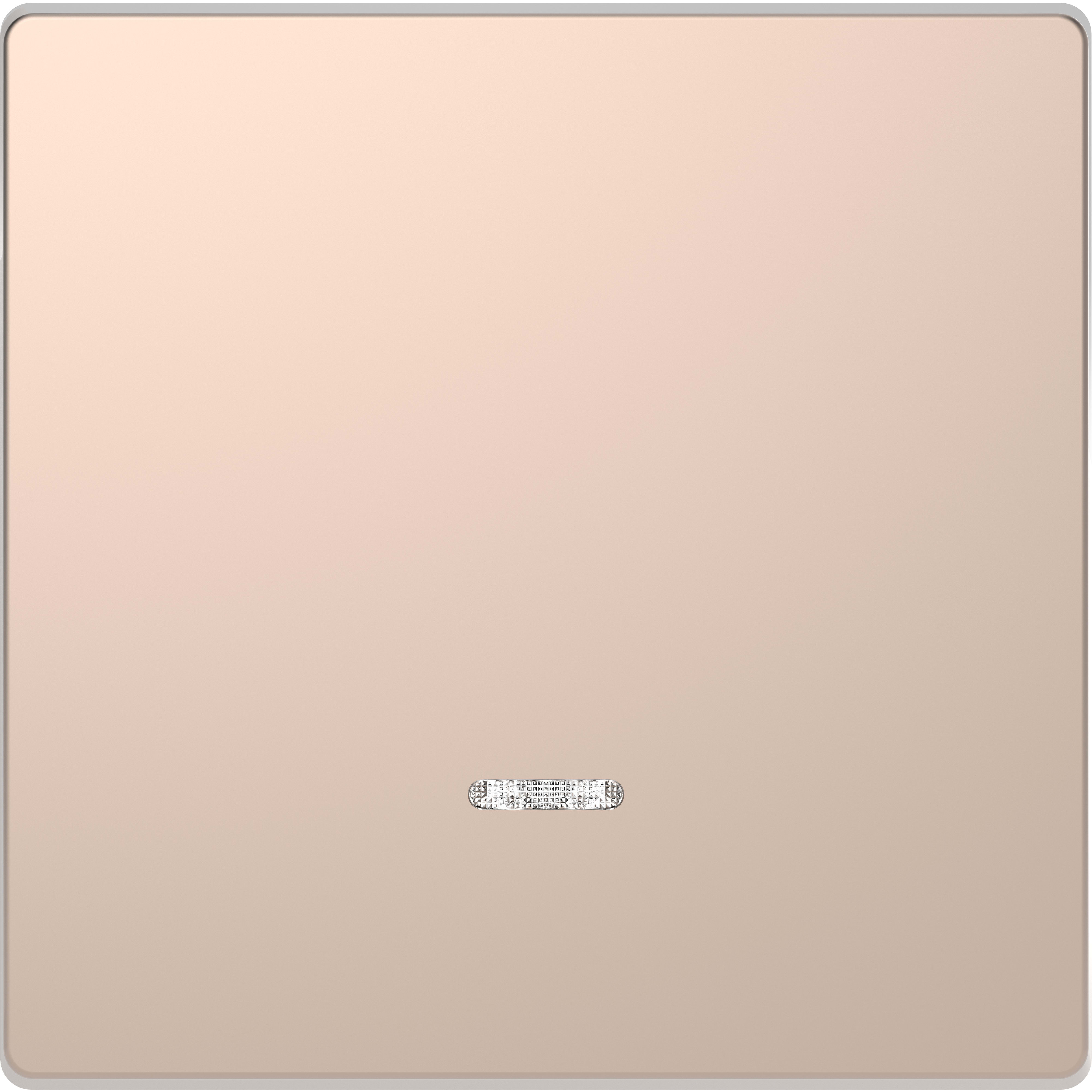 SCHNEIDER ELECTRIC - Copritasto con finestra indicazione, champagne, System Design