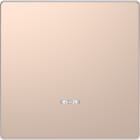 SCHNEIDER ELECTRIC - Copritasto con finestra indicazione, champagne, System Design