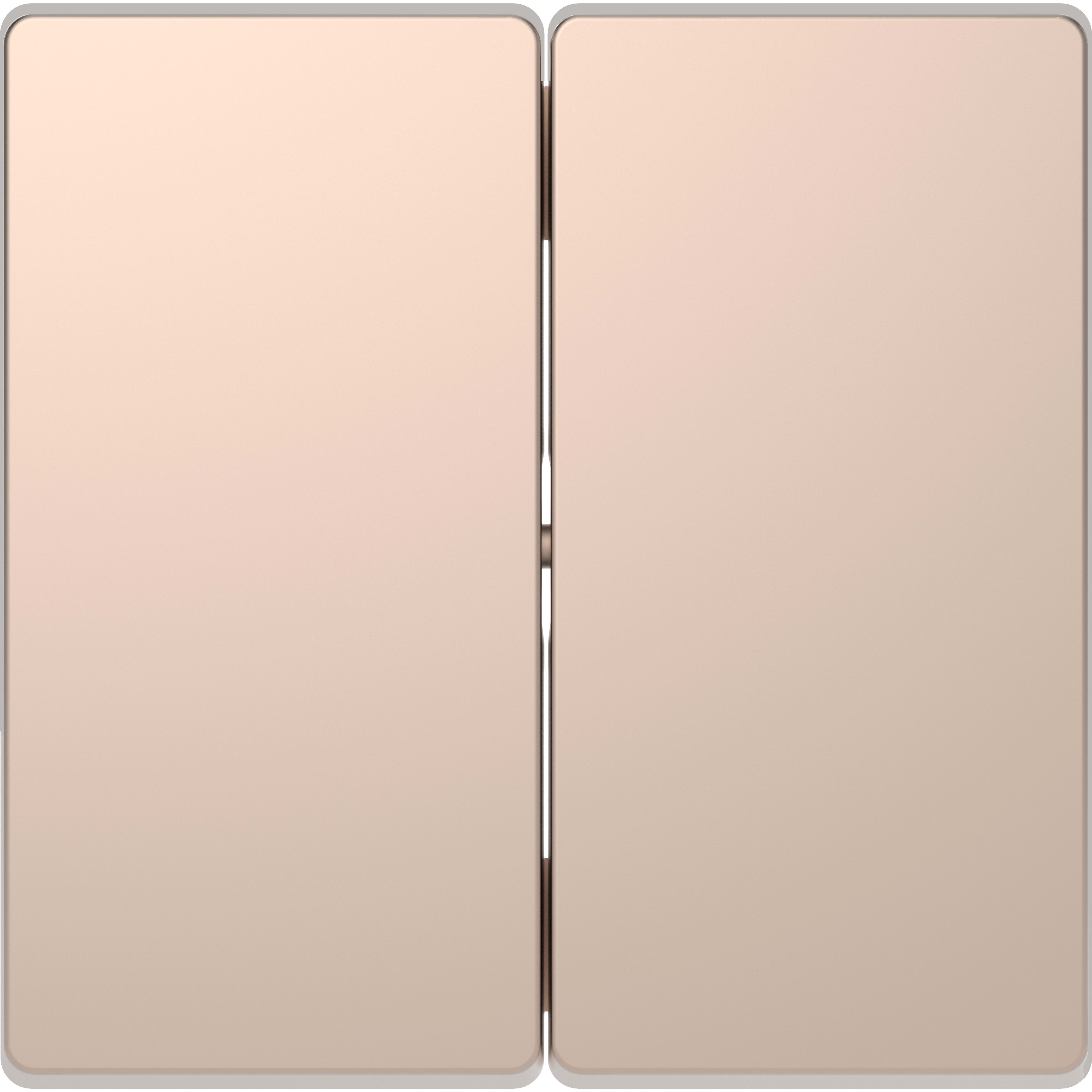 SCHNEIDER ELECTRIC - Copritasto 2 moduli, champagne, System Design