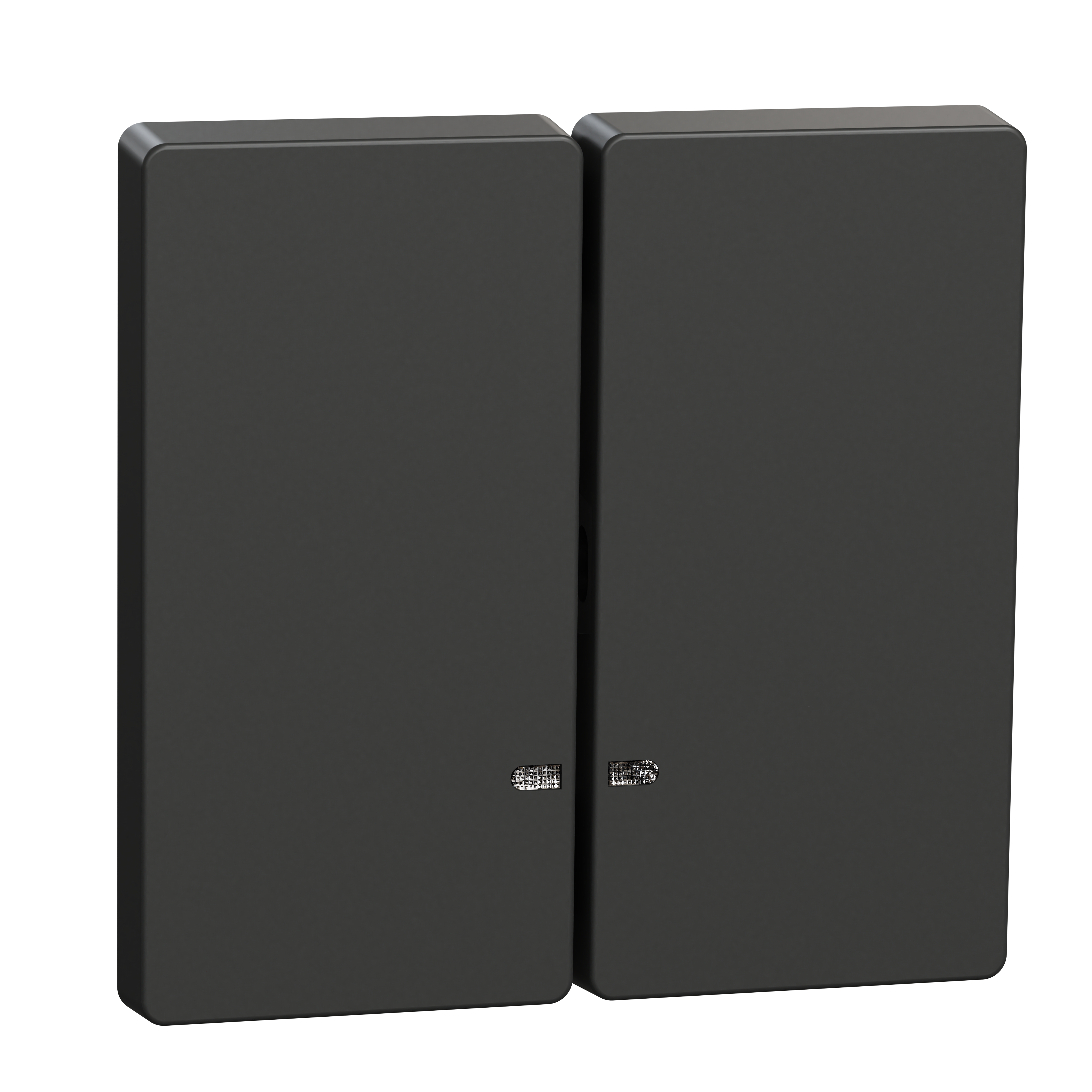 SCHNEIDER ELECTRIC - Copritasto 2 moduli, indicatore a finestra, antracite, System Design