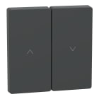 SCHNEIDER ELECTRIC - Copritasto per tapparelle, antracite, System Design