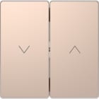 SCHNEIDER ELECTRIC - Copritasto per tapparelle, champagne, System Design