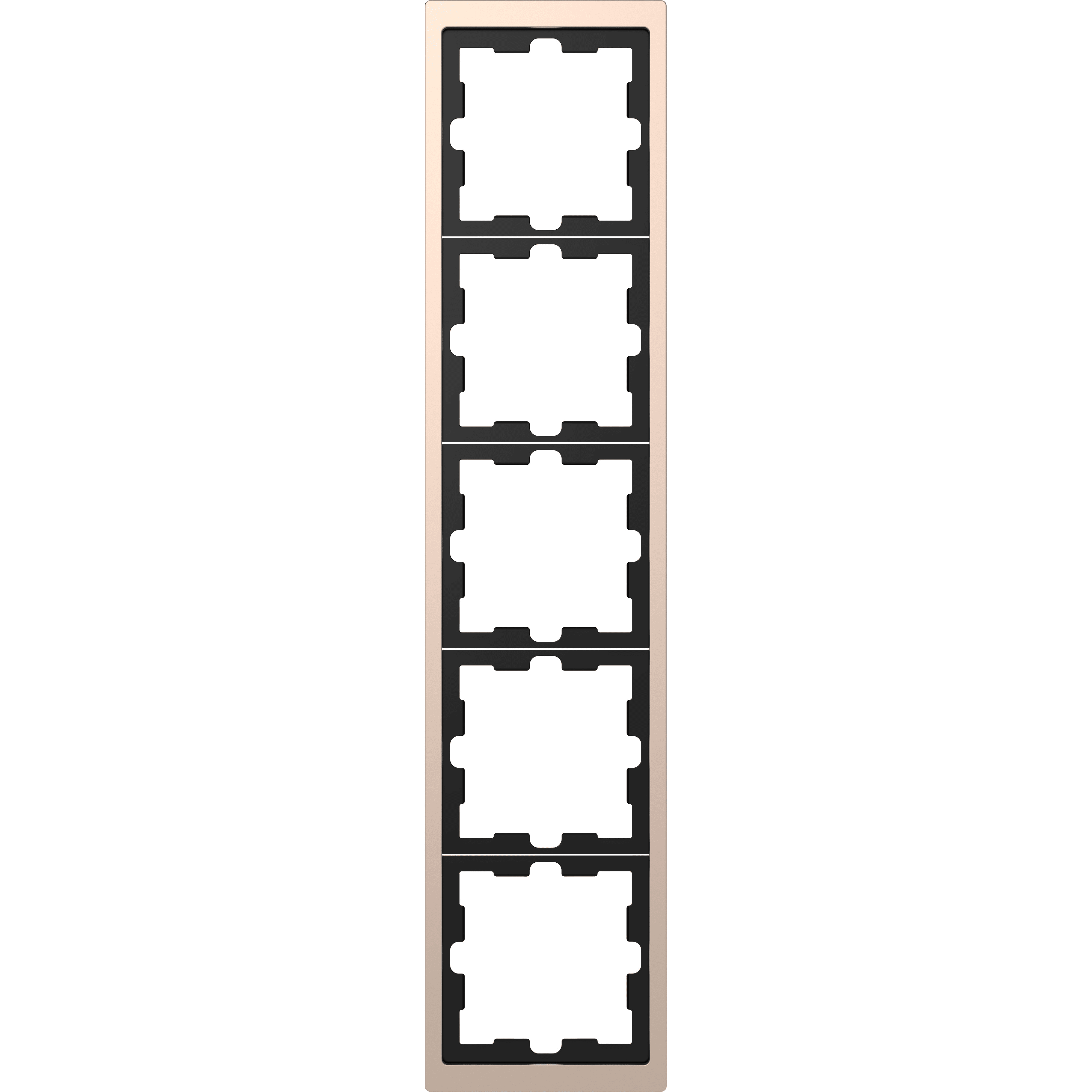 SCHNEIDER ELECTRIC - Cornice metallica D-Life, 5 slot, champagne