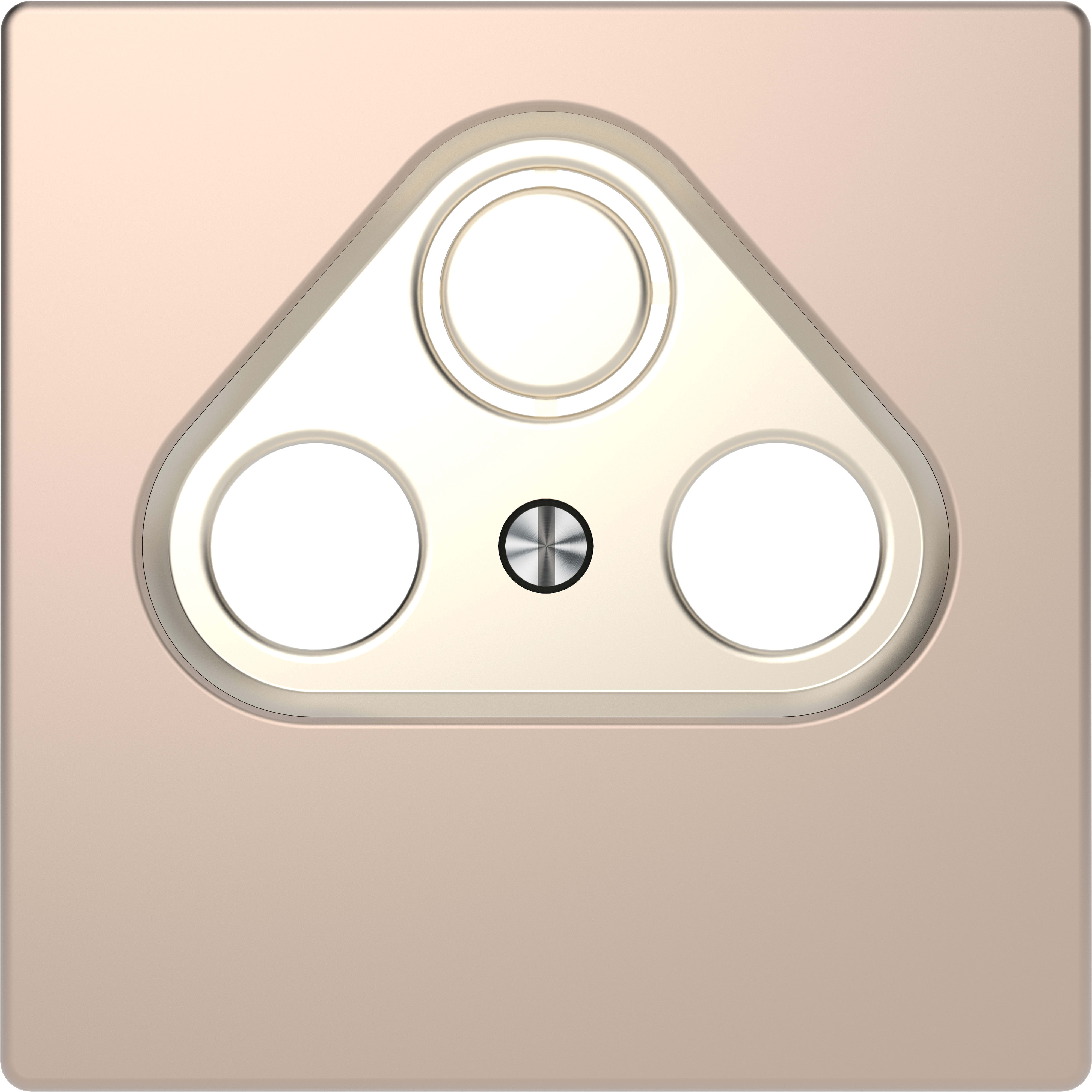 SCHNEIDER ELECTRIC - Placca per presa-antenna con foro 2-3, champagne, System Design