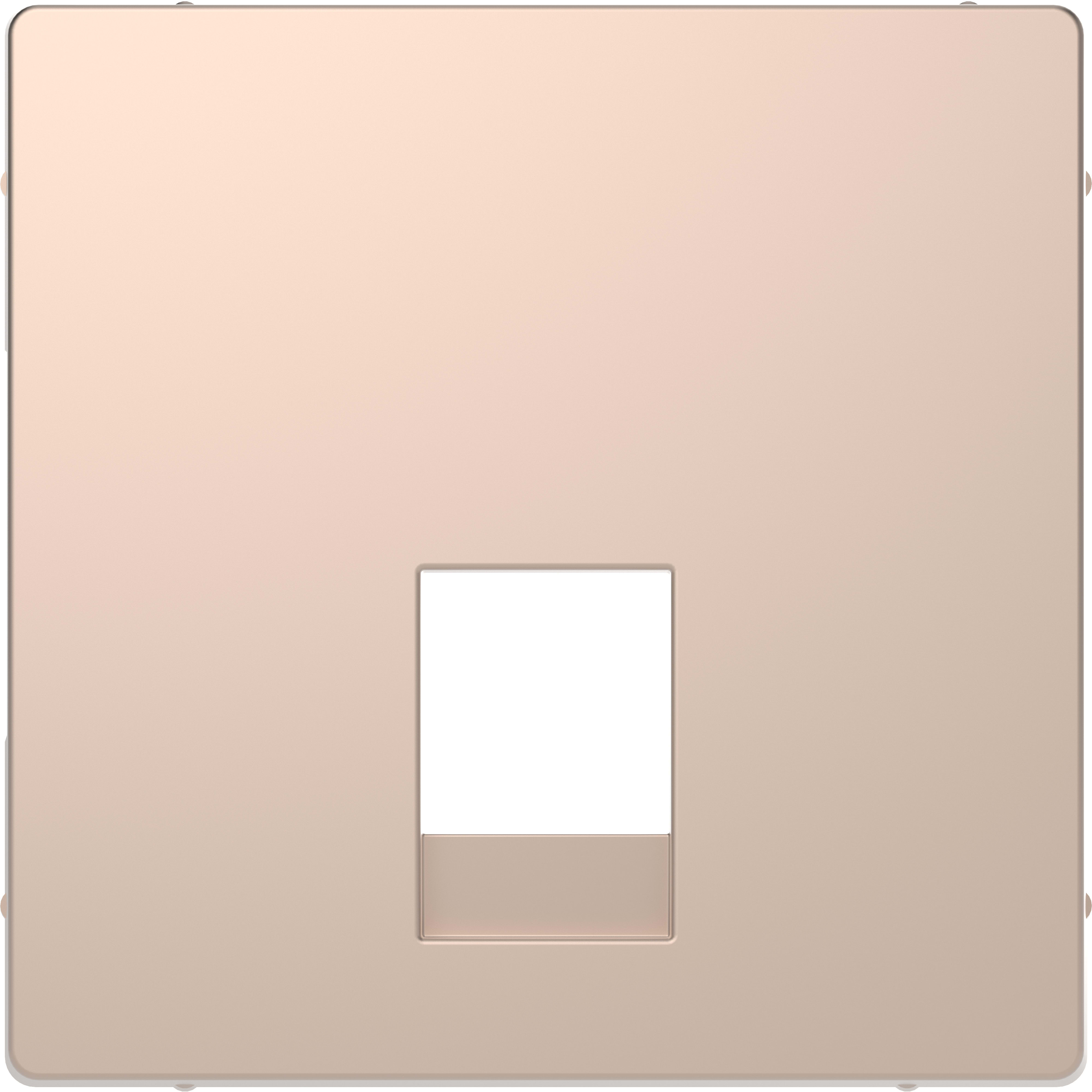 SCHNEIDER ELECTRIC - Central plate for RJ11 and RJ12 champagne, System Design