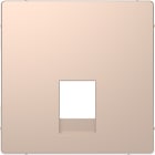 SCHNEIDER ELECTRIC - Central plate for RJ11 and RJ12 champagne, System Design