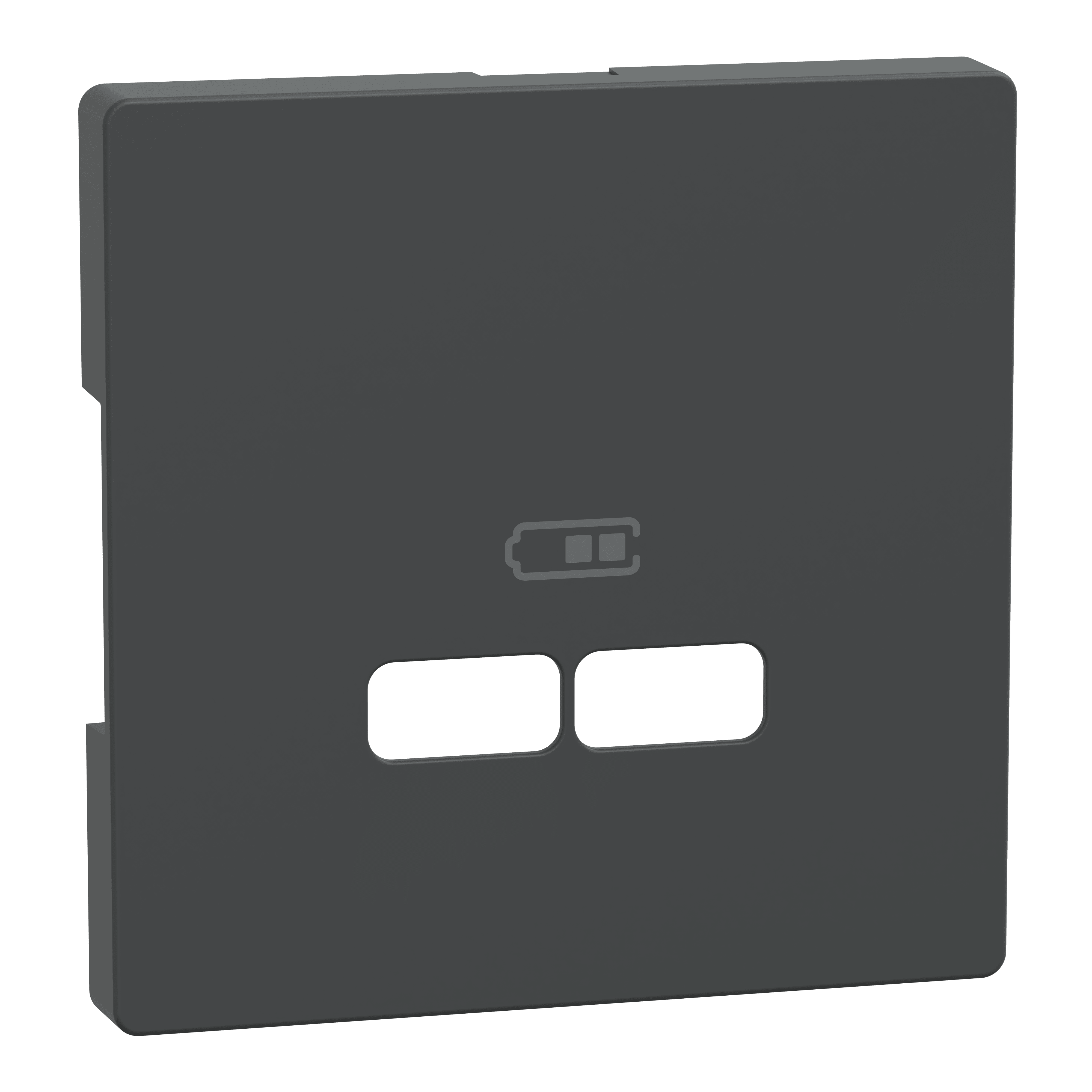 SCHNEIDER ELECTRIC - Piastra per ricarica USB System Design, antracite