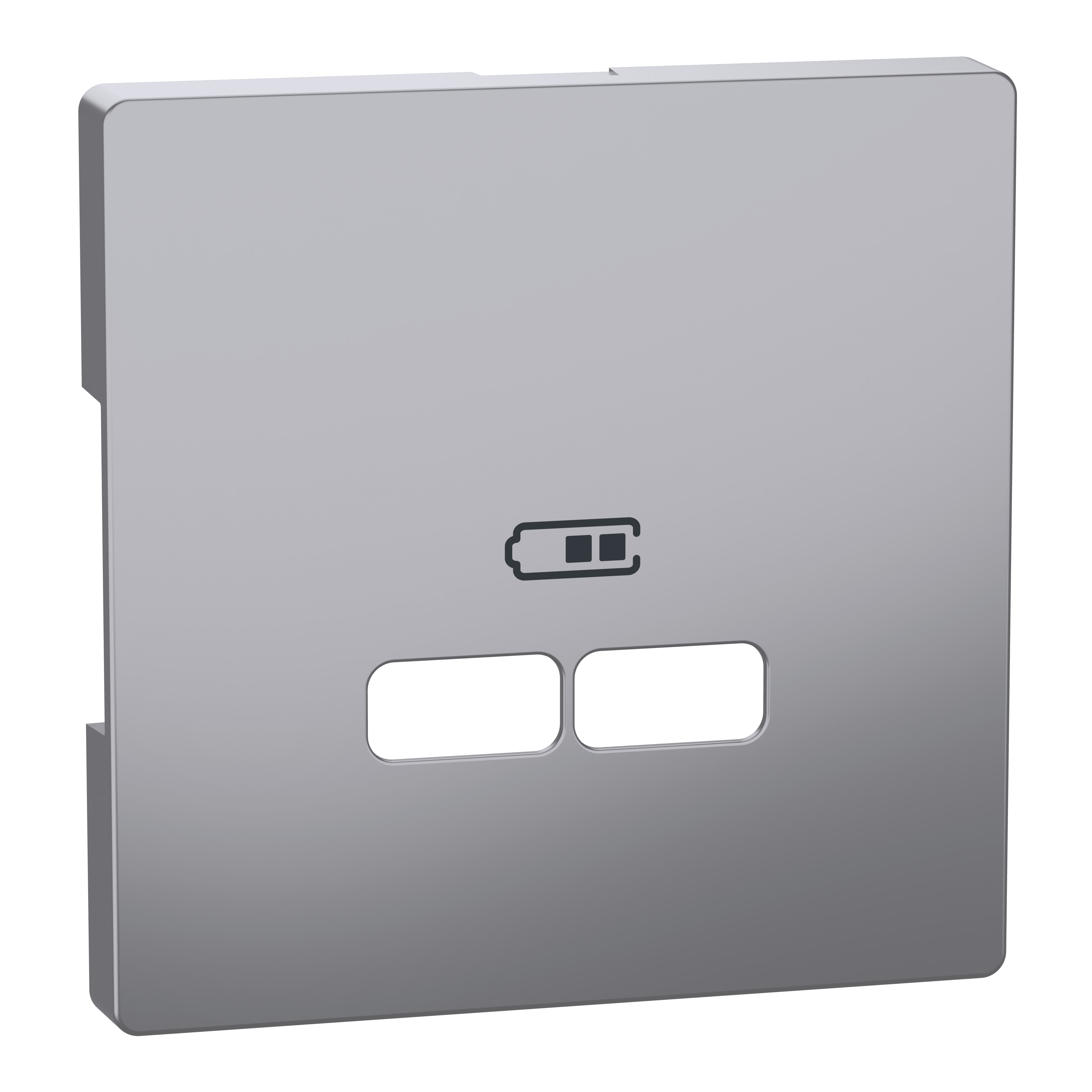 SCHNEIDER ELECTRIC - Piastra per ricarica USB System Design, acciaio