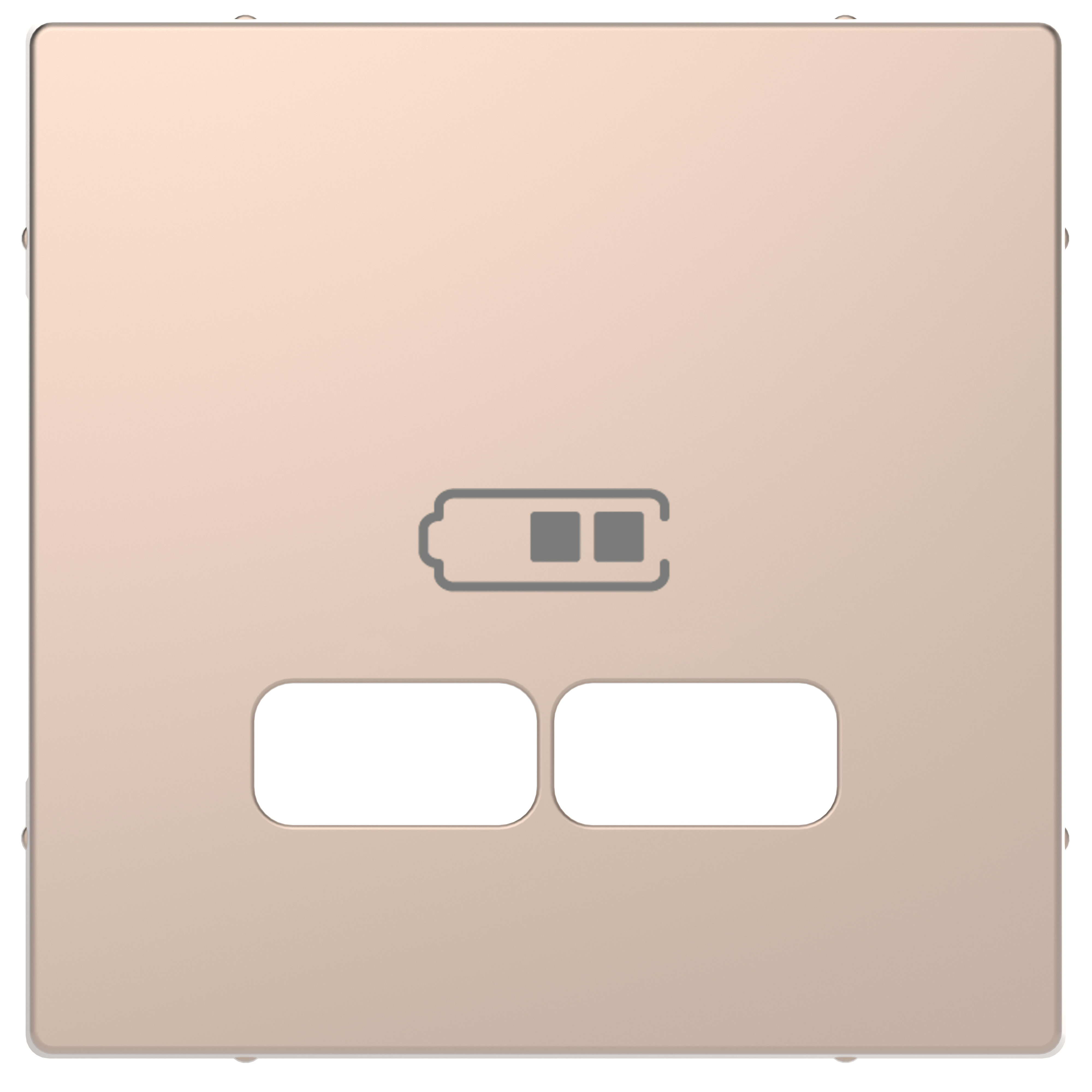 SCHNEIDER ELECTRIC - Piastra per ricarica USB System Design, champagne