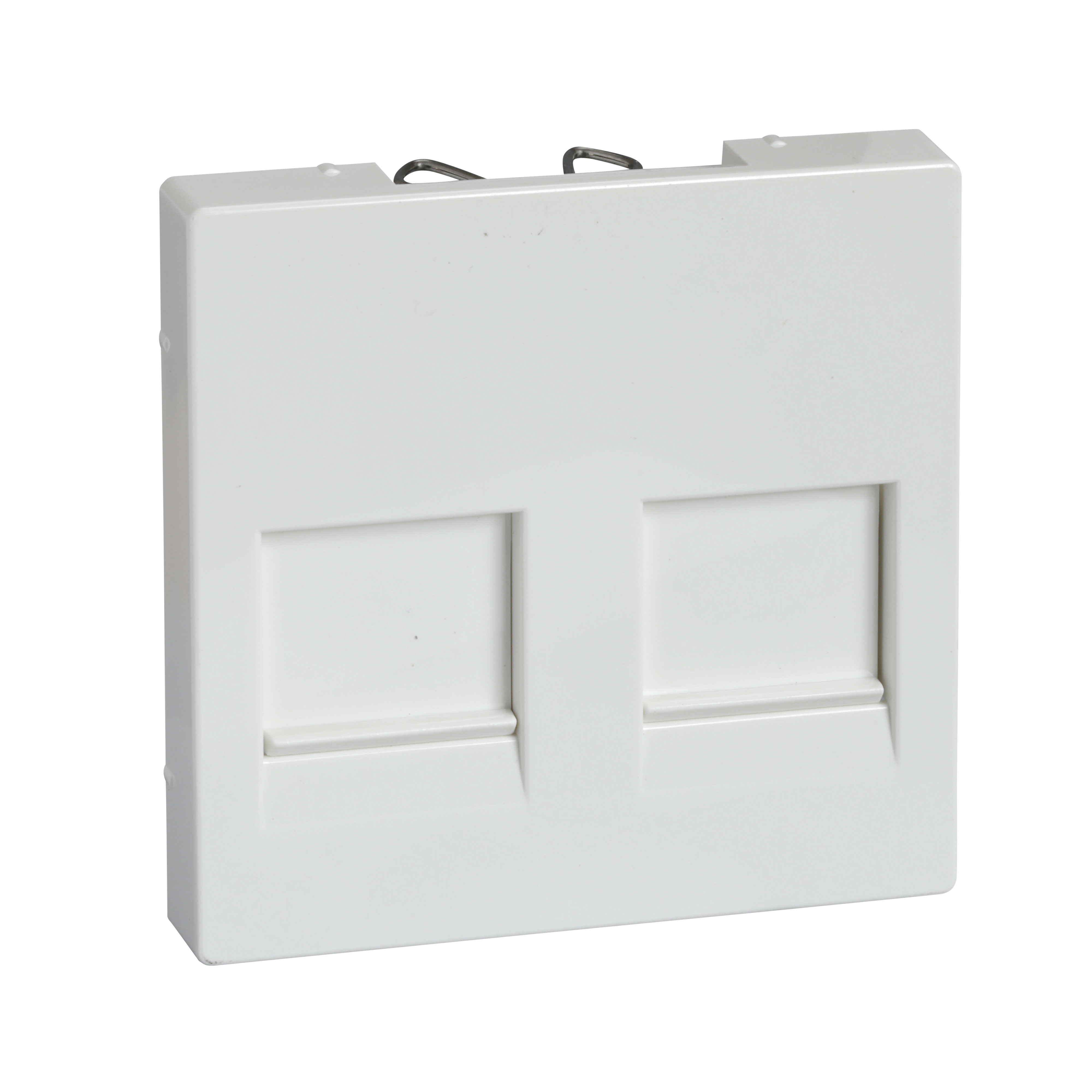 SCHNEIDER ELECTRIC - Placca ctl prot 2 prese dati bi po SysM