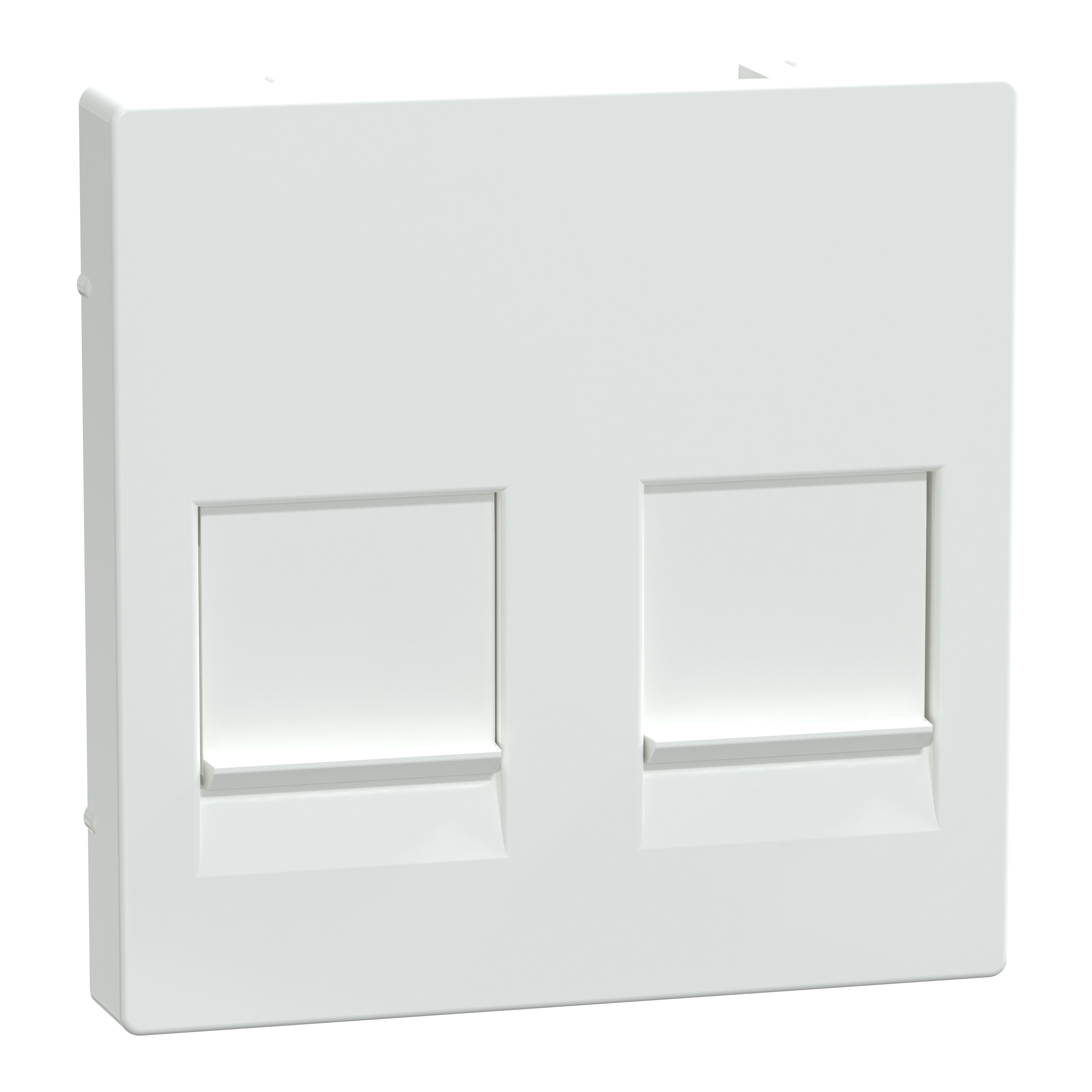 SCHNEIDER ELECTRIC - Placca ctl prot 2 prese dati bi at SysM