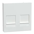 SCHNEIDER ELECTRIC - Placca ctl prot 2 prese dati bi at SysM