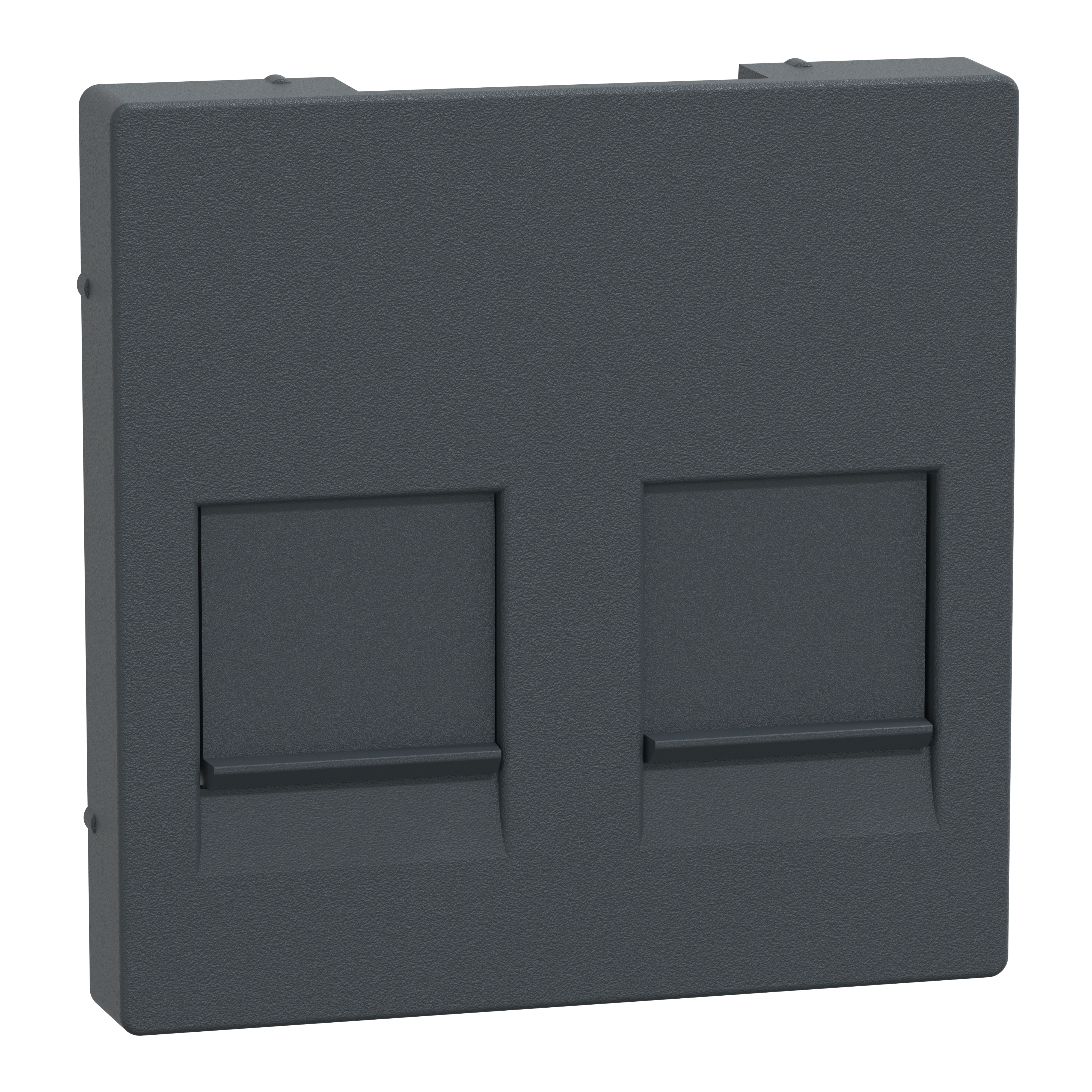 SCHNEIDER ELECTRIC - Placca ctl prot 2 prese dati antr SysM