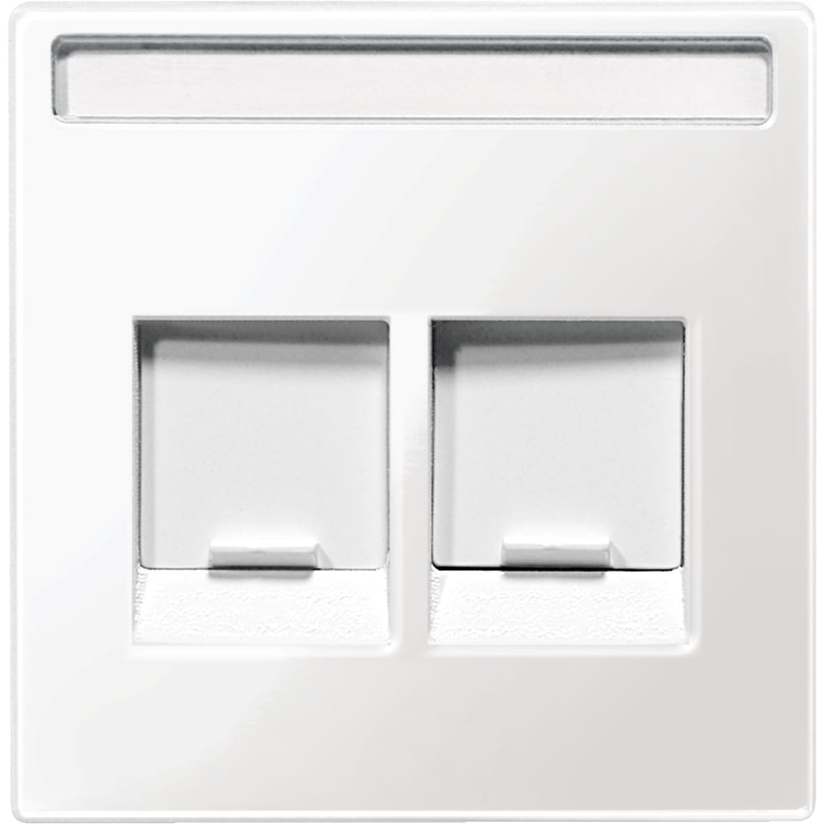 SCHNEIDER ELECTRIC - Placca ctl prot lb 2 prese dati bi po S