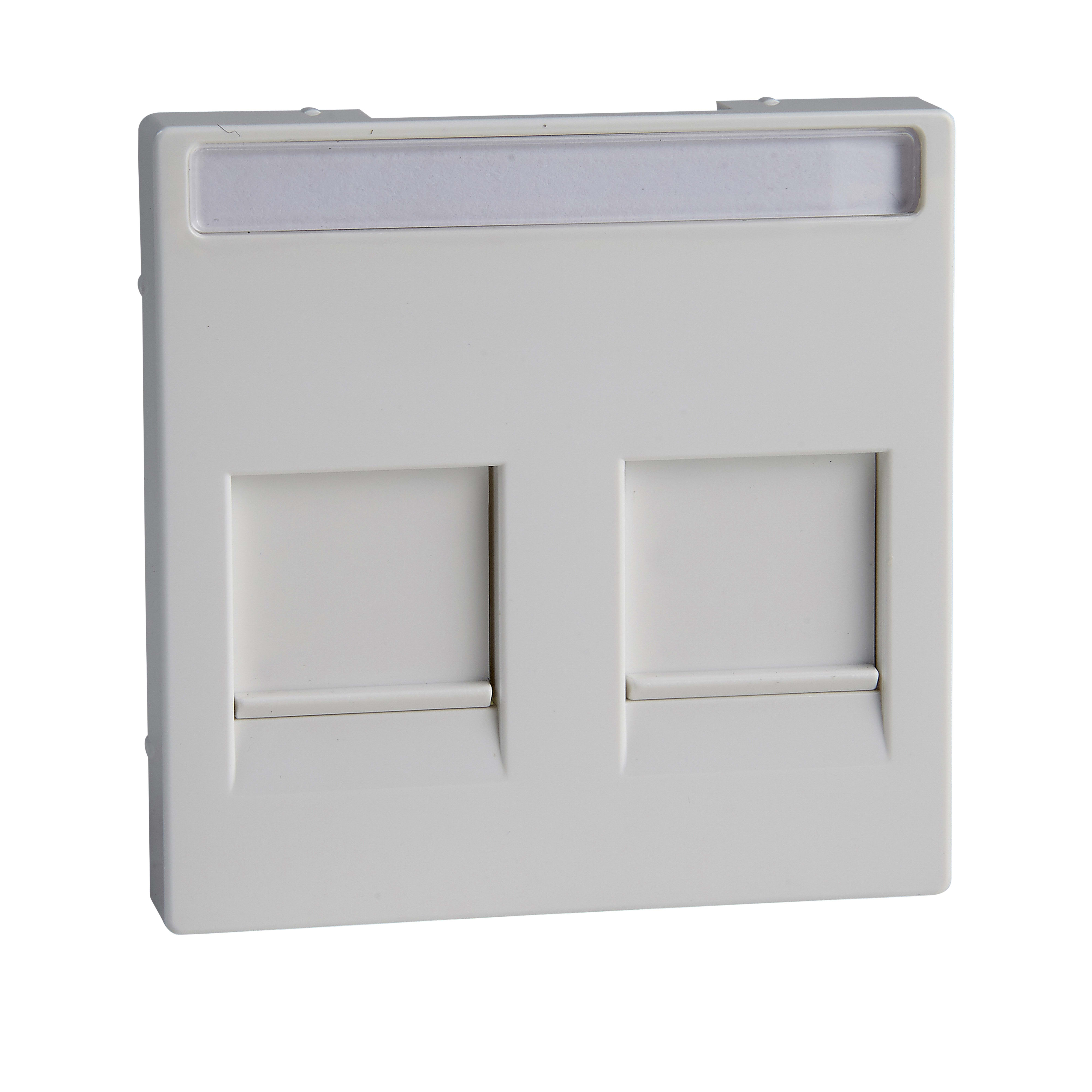 SCHNEIDER ELECTRIC - Placca ctl prot lb 2 prese dati bi at S