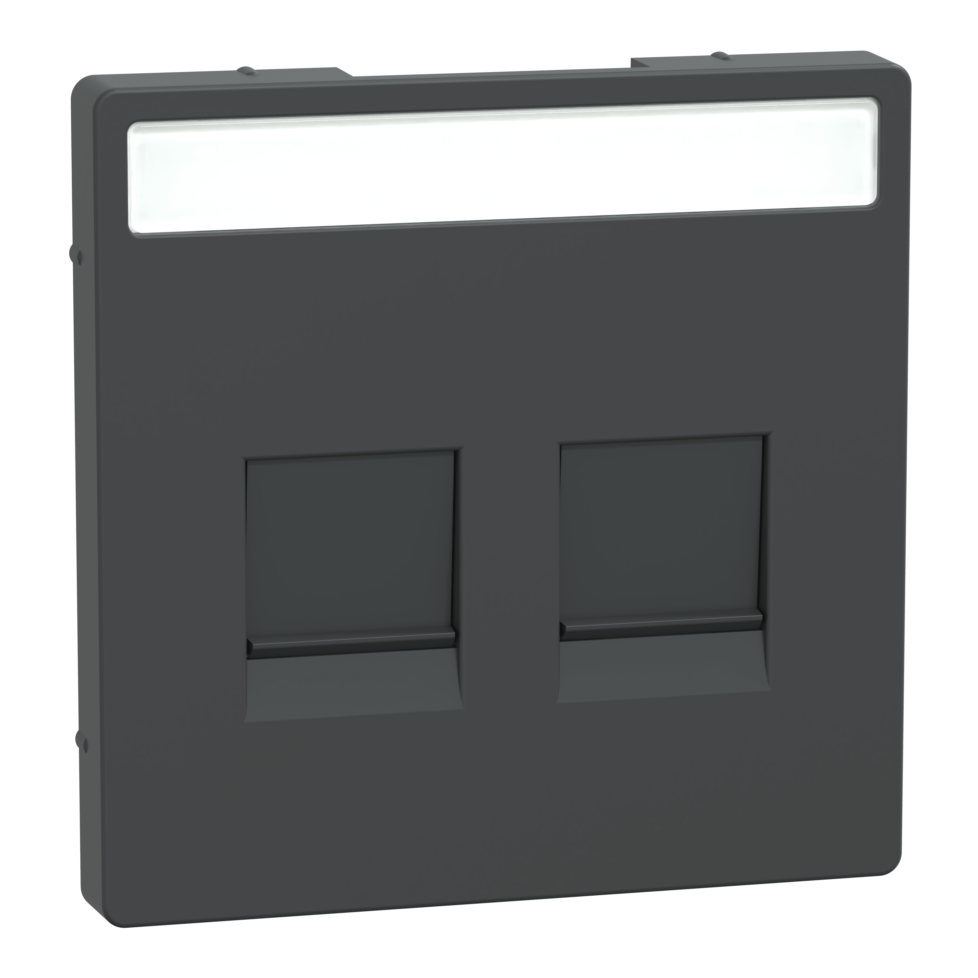 SCHNEIDER ELECTRIC - Piastra conn mod, 2 slot, etich, serr antipolvere, antracite, System Design