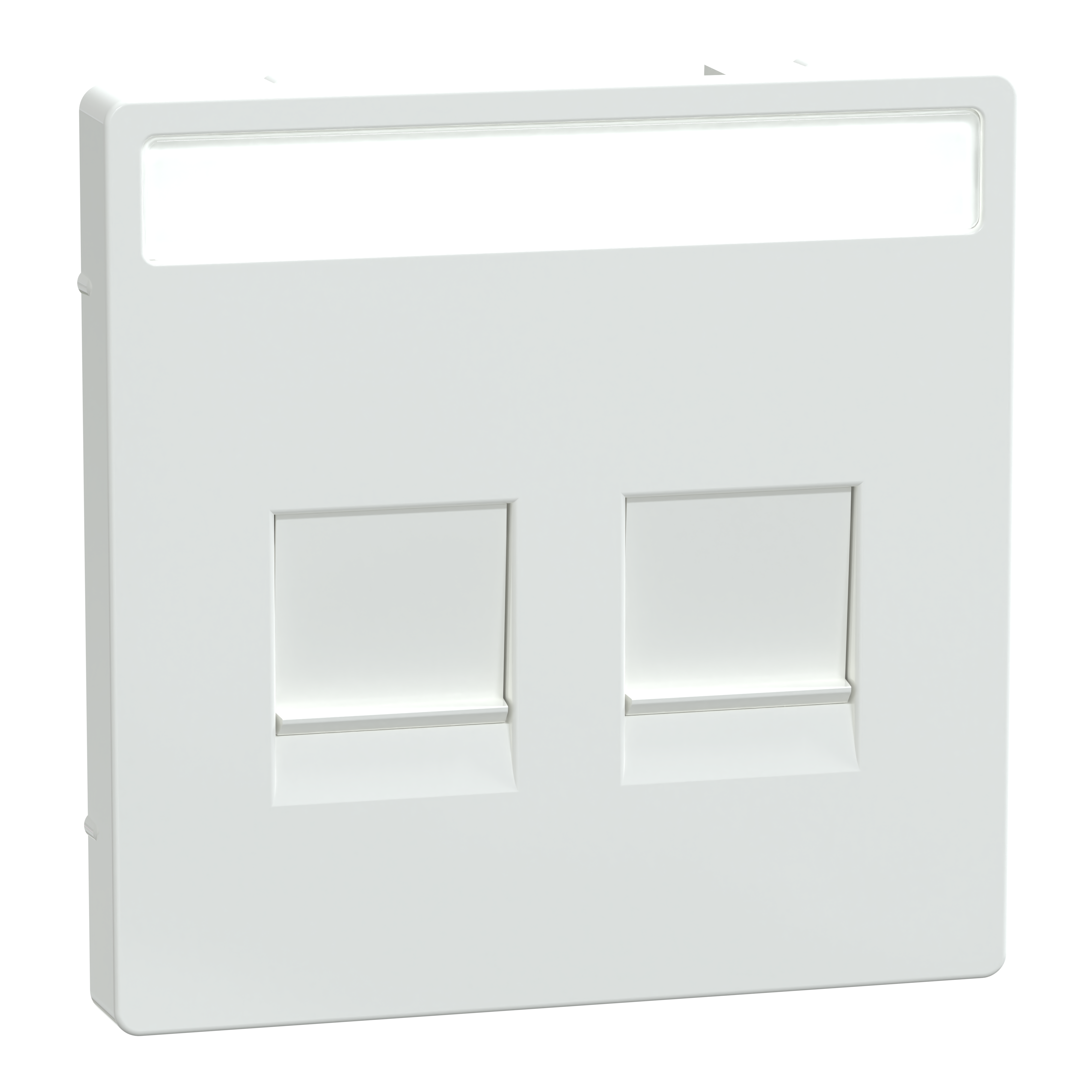 SCHNEIDER ELECTRIC - Piastra conn mod, 2 slot, etich, serr antipolvere, bianco loto, System Design