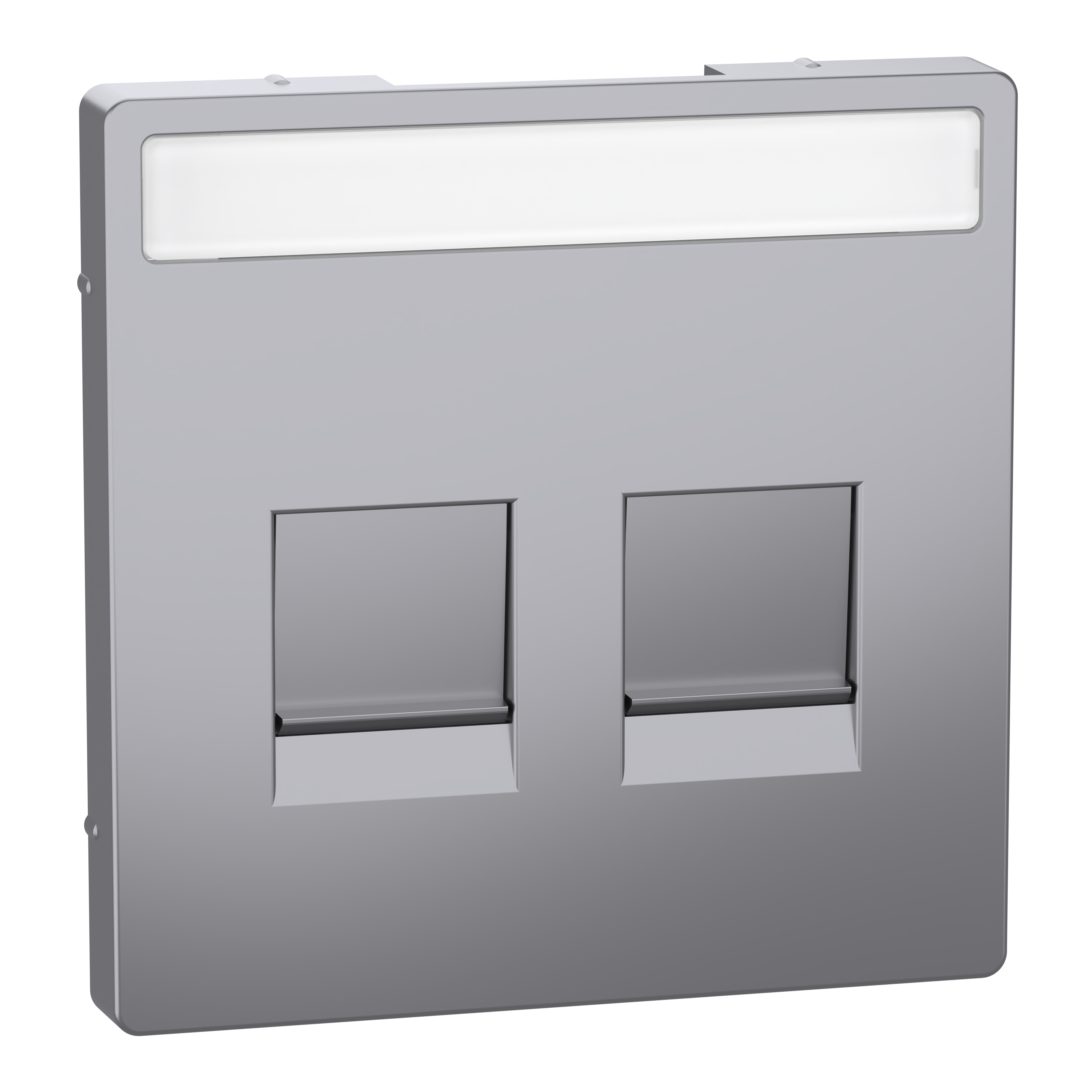 SCHNEIDER ELECTRIC - Piastra conn mod, 2 slot, etich, serr antipolvere, acciaio, System Design