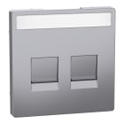 SCHNEIDER ELECTRIC - Piastra conn mod, 2 slot, etich, serr antipolvere, acciaio, System Design