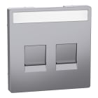 SCHNEIDER ELECTRIC - Piastra conn mod, 2 slot, etich, serr antipolvere, acciaio, System Design