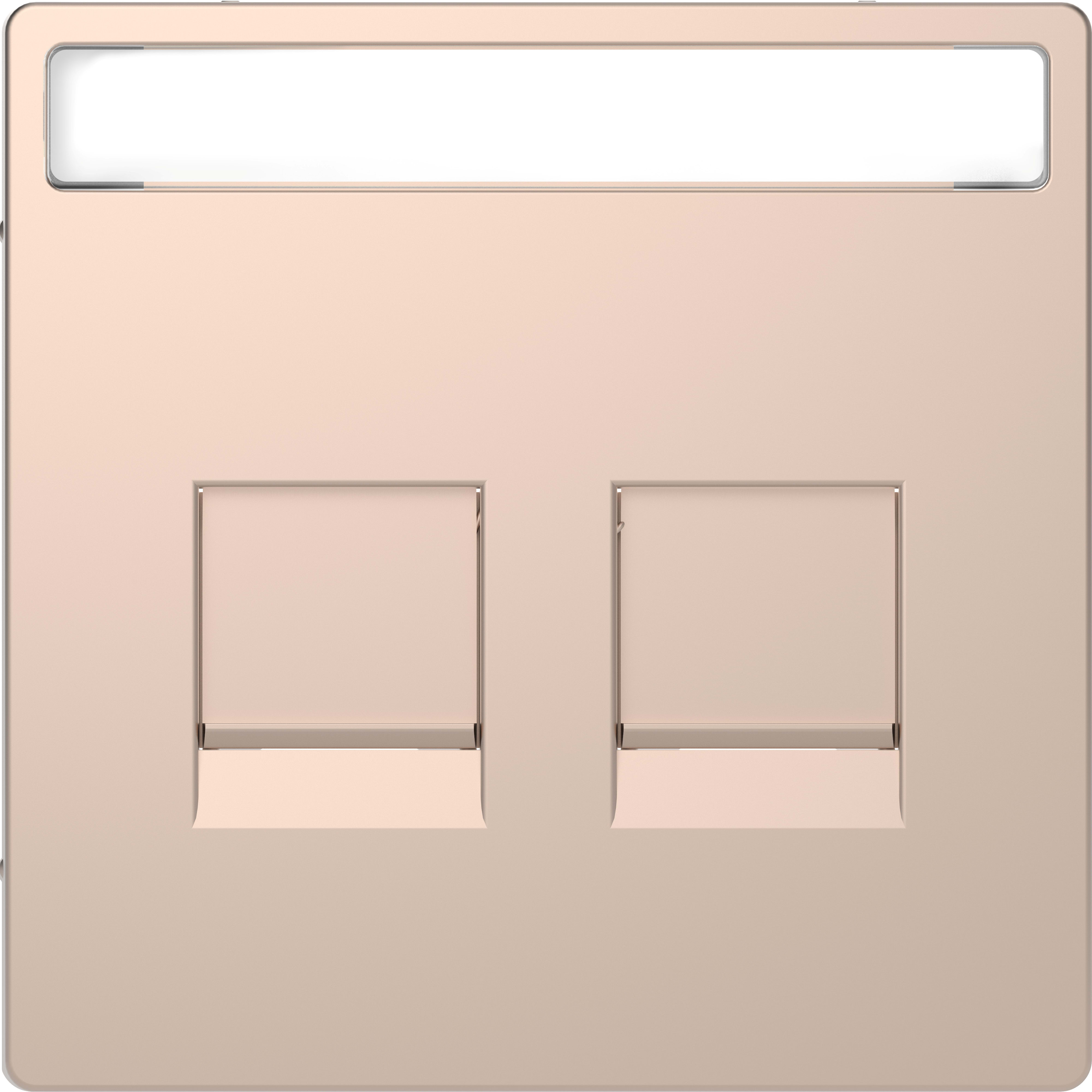 SCHNEIDER ELECTRIC - Piastra conn mod, 2 slot, etich, serr antipolvere, champagne, System Design