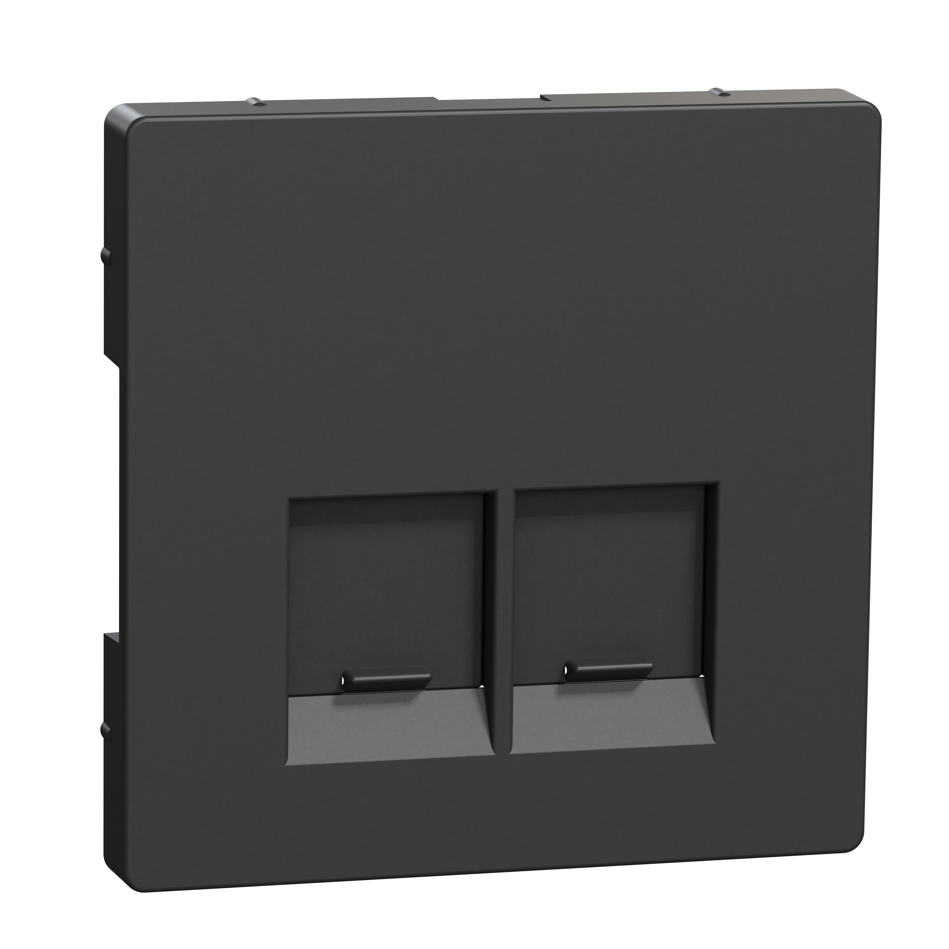 SCHNEIDER ELECTRIC - Piastra, 2 slot, per connettori Schneider Electric, antracite, System Design