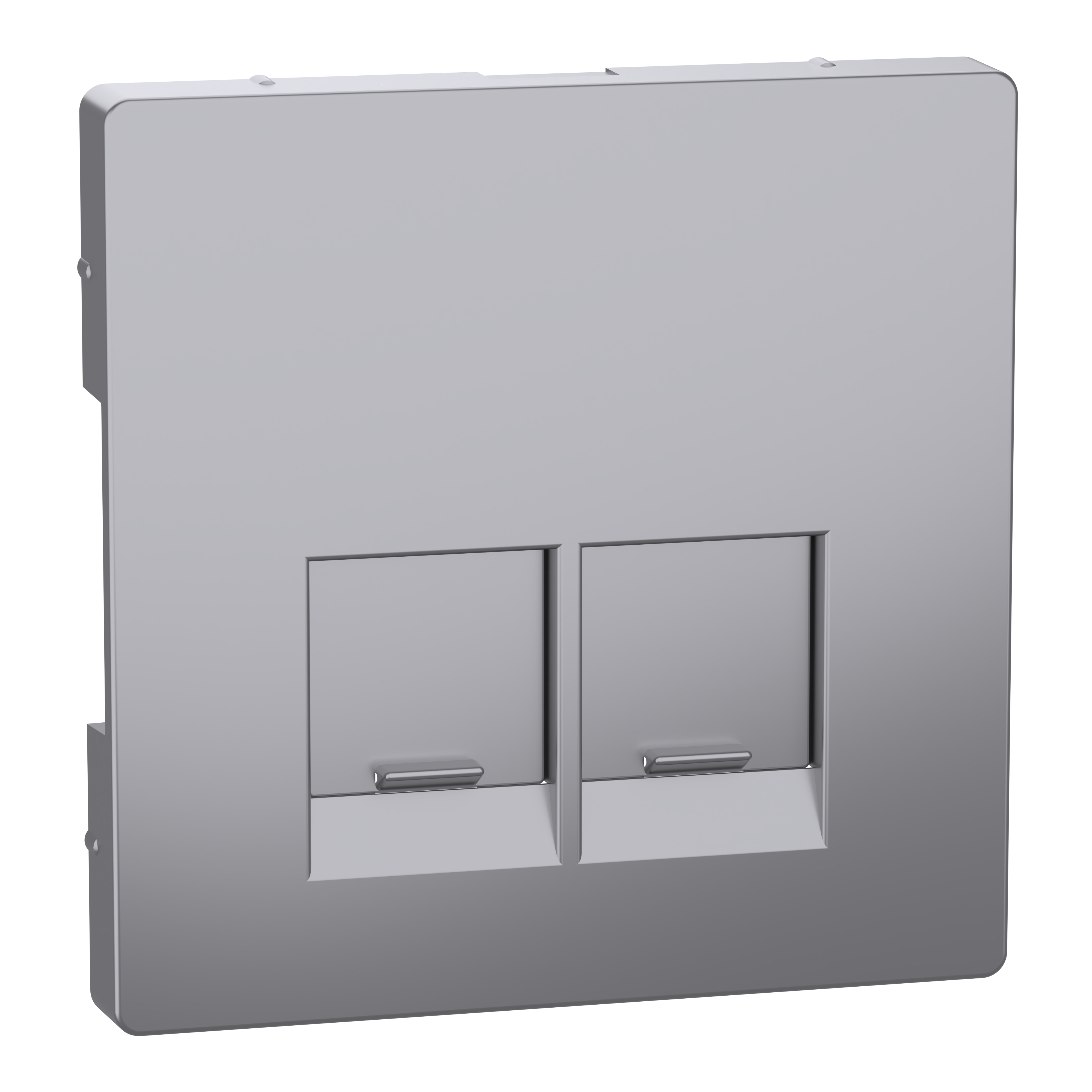 SCHNEIDER ELECTRIC - Piastra, 2 slot, per connettori Schneider Electric, acciaio, System Design