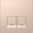 SCHNEIDER ELECTRIC - Piastra, 2 slot, per connettori Schneider Electric, champagne, System Design