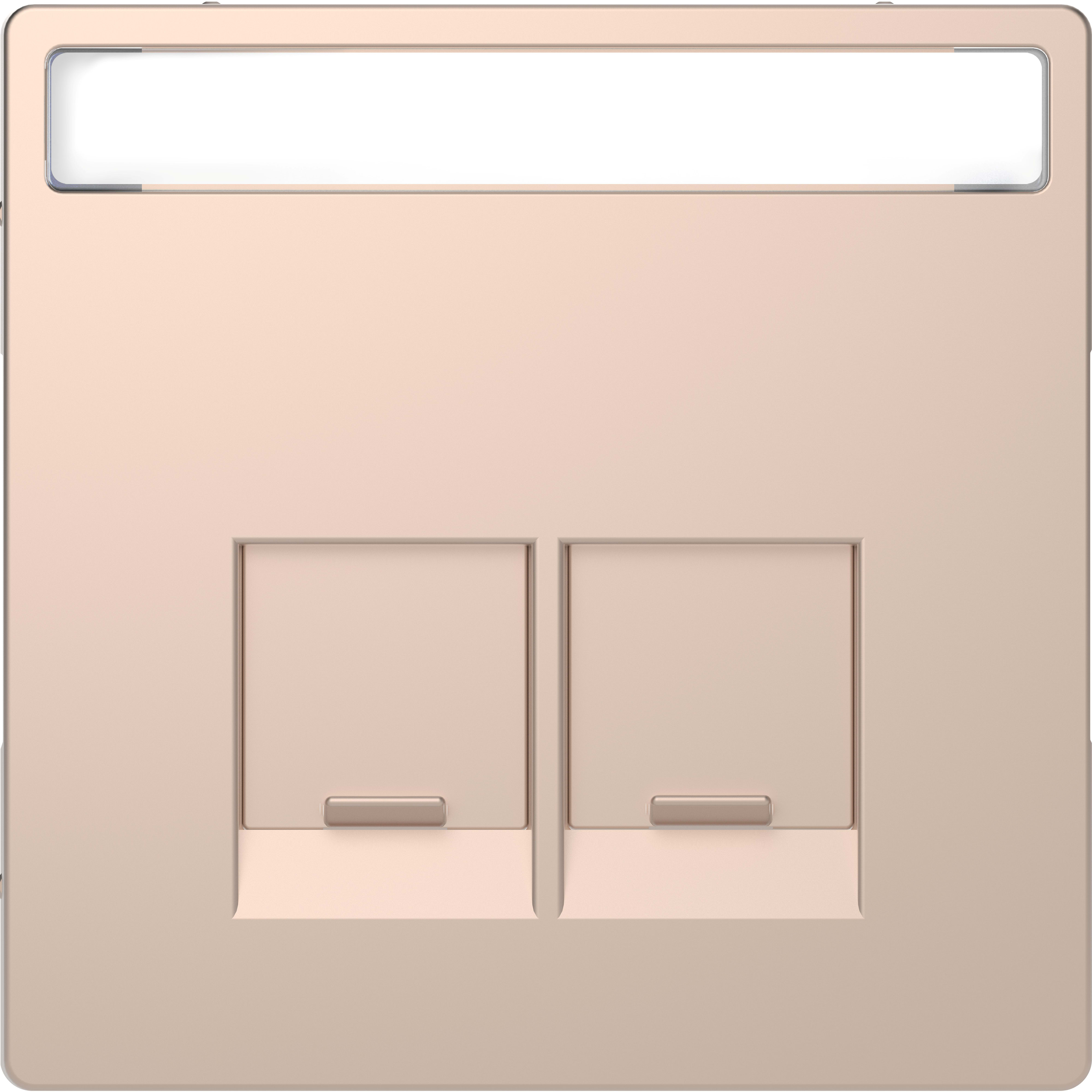 SCHNEIDER ELECTRIC - Piastra con etichetta per Schneider Electric RJ45, champagne, System Design