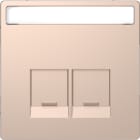 SCHNEIDER ELECTRIC - Piastra con etichetta per Schneider Electric RJ45, champagne, System Design