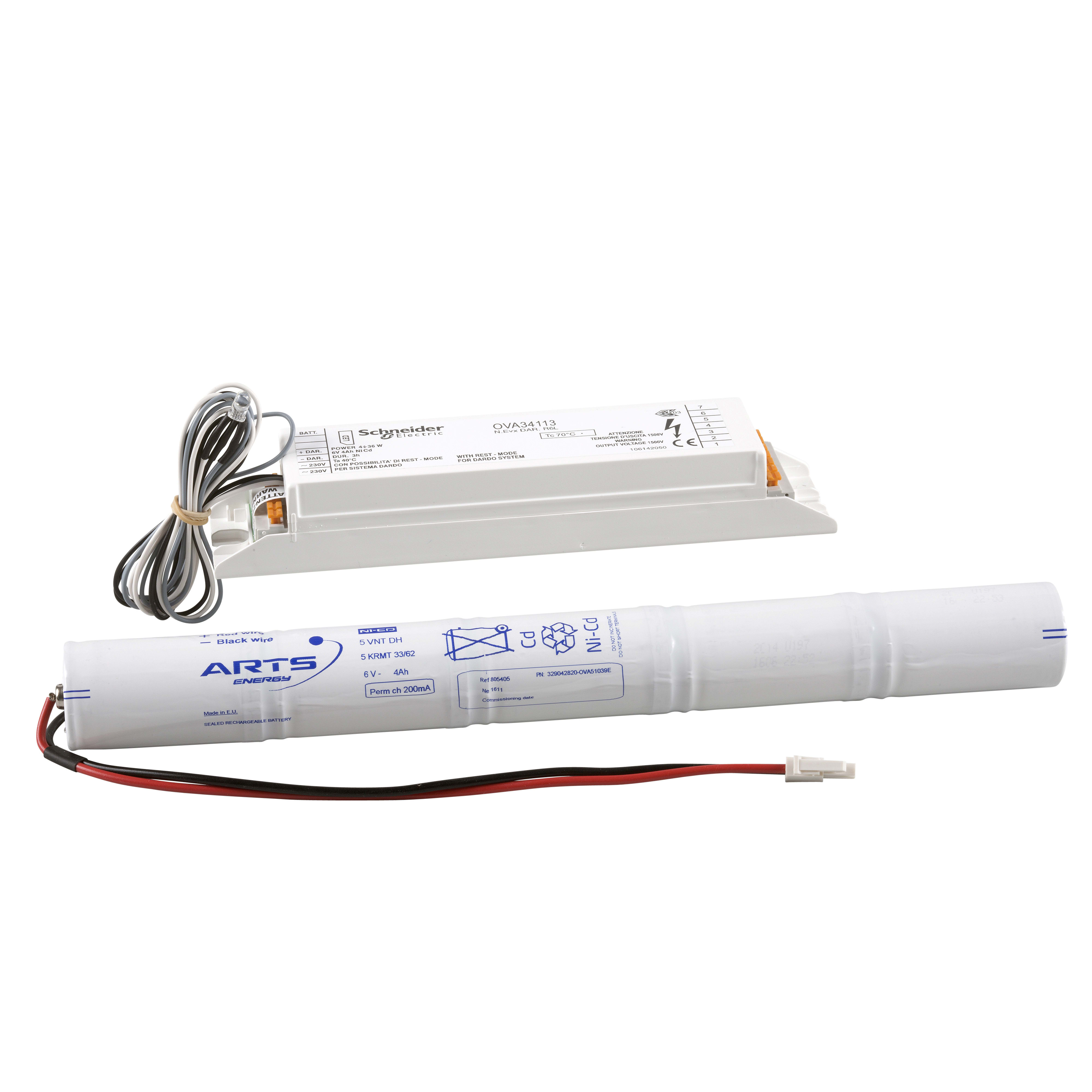 SCHNEIDER ELECTRIC - Kit di emergenza fluo-Diagnosi Centralizzata (Dardo)-N.EVX DAR.R6NCL