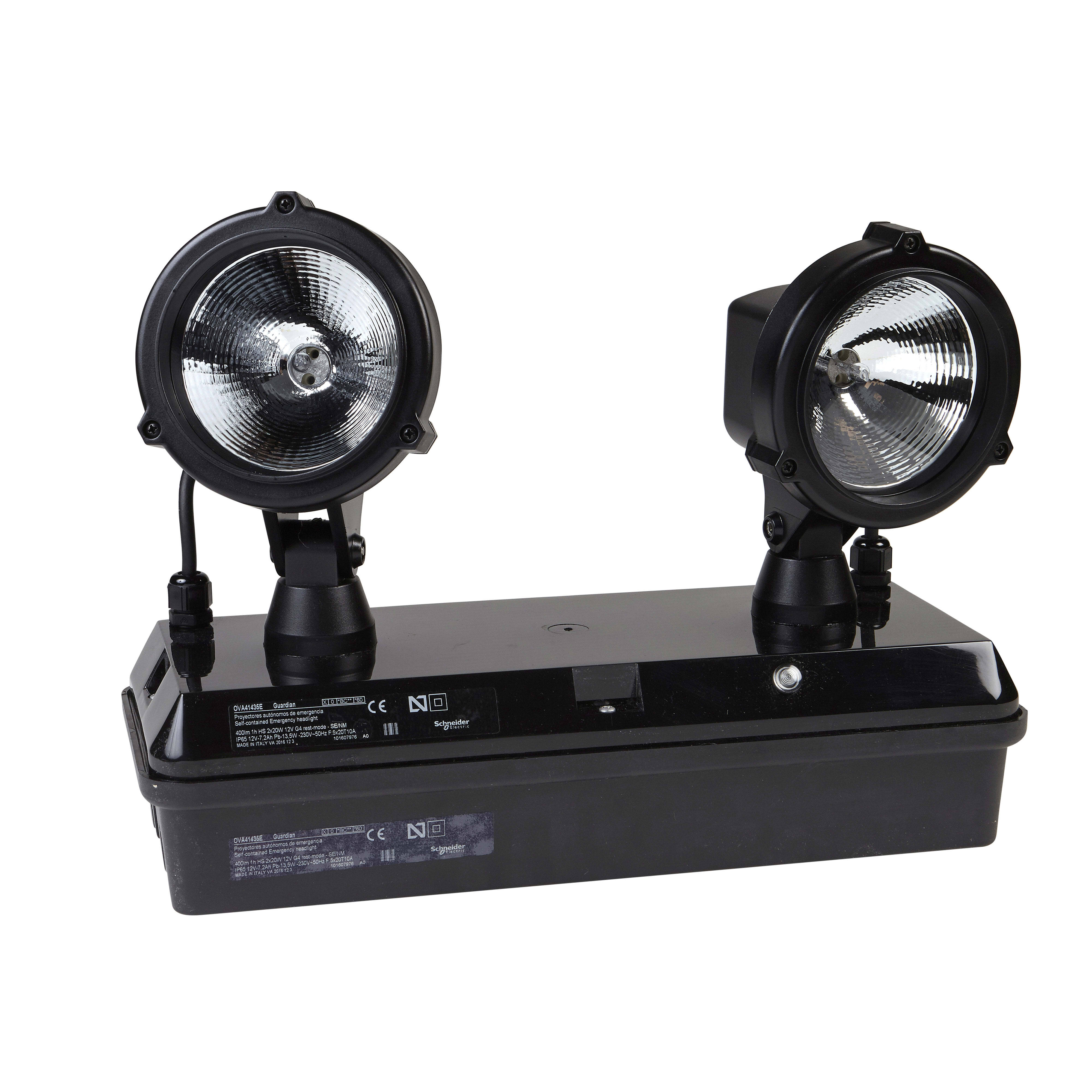 SCHNEIDER ELECTRIC - Guardian, IP65, Autoalimentato-Standard, 400lm SE, 1h, Apparecchio di illuminazione di sicurezza