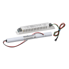 SCHNEIDER ELECTRIC - Kit di emergenza-Diagnosi Centralizzata (DiCube)-Exiway Kitled 20-105VDC 3W-3 LFP