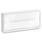 SCHNEIDER ELECTRIC - Exiway Light, IP65, Autoalimentato Standard, SE-SA, 500-400-300-250lm SE, 230lm SA, 1-1,5-2-3h, illuminazione di sicurezza