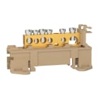 SCHNEIDER ELECTRIC - MORSETTIERA 80A 6 FORI