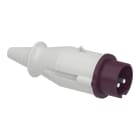 SCHNEIDER ELECTRIC - SPINA MOB.IP44 2P 16A 24V 50HZ