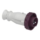SCHNEIDER ELECTRIC - SPINA MOB.IP67 2P 16A 24V 50HZ