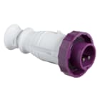 SCHNEIDER ELECTRIC - SPINA MOB.IP67 2P 32A 24V 50HZ